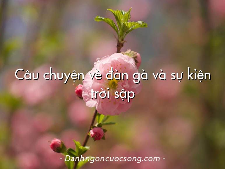 Câu chuyện về đàn gà và sự kiện trời sập