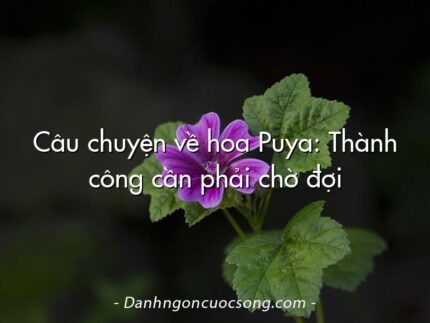 Câu chuyện về hoa Puya: Thành công cần phải chờ đợi