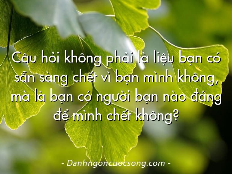 Câu hỏi không phải là liệu bạn có sẵn sàng chết vì bạn mình không, mà là bạn có người bạn nào đáng để mình chết không?