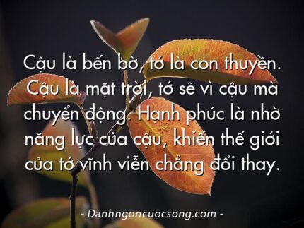 Cậu là bến bờ, tớ là con thuyền. Cậu là mặt trời, tớ sẽ vì cậu mà chuyển động. Hạnh phúc là nhờ năng lực của cậu, khiến thế giới của tớ vĩnh viễn chẳng đổi thay.