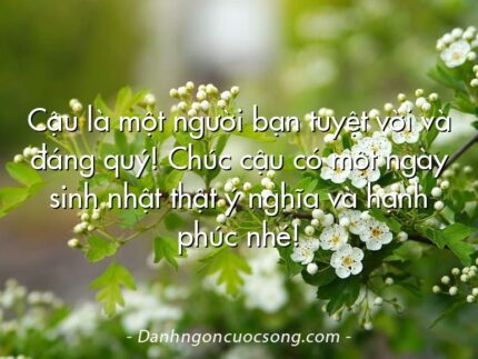 Cậu là một người bạn tuyệt vời và đáng quý! Chúc cậu có một ngày sinh nhật thật ý nghĩa và hạnh phúc nhé!