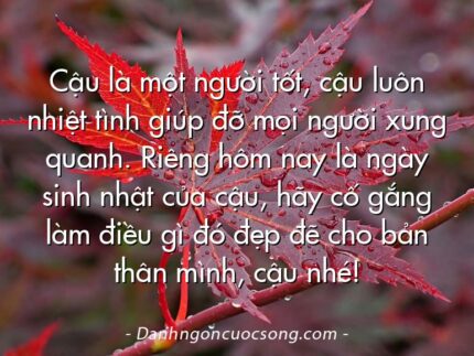 Cậu là một người tốt, cậu luôn nhiệt tình giúp đỡ mọi người xung quanh. Riêng hôm nay là ngày sinh nhật của cậu, hãy cố gắng làm điều gì đó đẹp đẽ cho bản thân mình, cậu nhé!