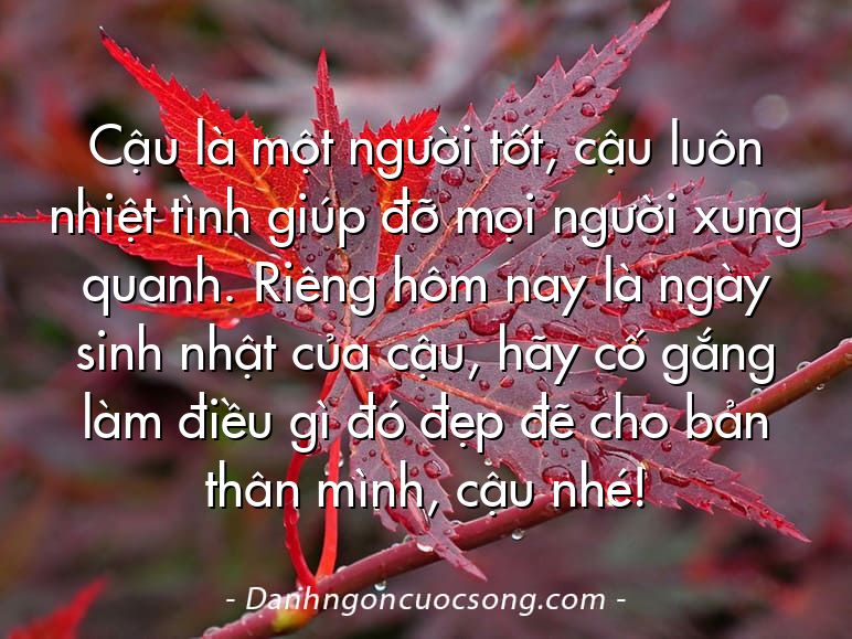 Cậu là một người tốt, cậu luôn nhiệt tình giúp đỡ mọi người xung quanh. Riêng hôm nay là ngày sinh nhật của cậu, hãy cố gắng làm điều gì đó đẹp đẽ cho bản thân mình, cậu nhé!