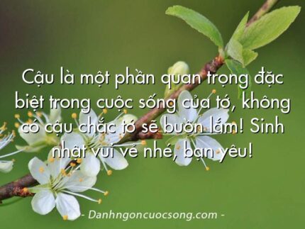 Cậu là một phần quan trọng đặc biệt trong cuộc sống của tớ, không có cậu chắc tớ sẽ buồn lắm! Sinh nhật vui vẻ nhé, bạn yêu!