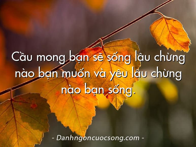 Cầu mong bạn sẽ sống lâu chừng nào bạn muốn và yêu lâu chừng nào bạn sống.