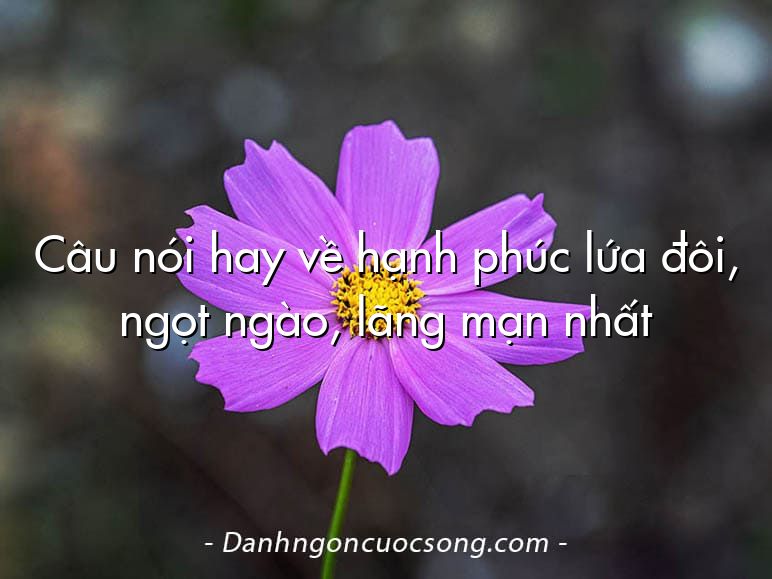 Câu nói hay về hạnh phúc lứa đôi, ngọt ngào, lãng mạn nhất