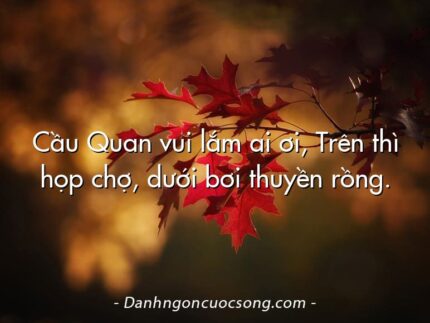 Cầu Quan vui lắm ai ơi, Trên thì họp chợ, dưới bơi thuyền rồng.