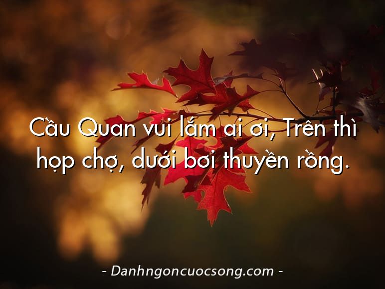 Cầu Quan vui lắm ai ơi, Trên thì họp chợ, dưới bơi thuyền rồng.
