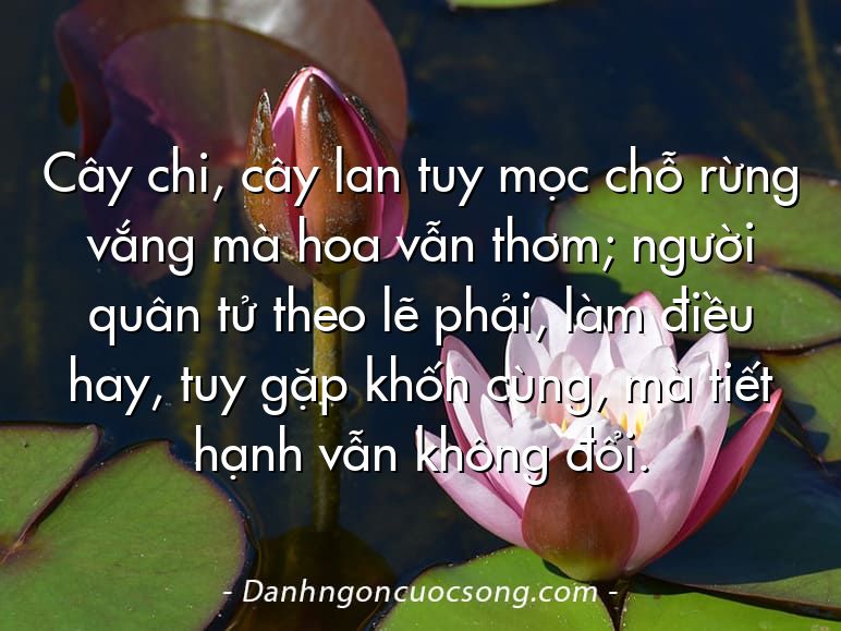 Cây chi, cây lan tuy mọc chỗ rừng vắng mà hoa vẫn thơm; người quân tử theo lẽ phải, làm điều hay, tuy gặp khốn cùng, mà tiết hạnh vẫn không đổi.