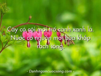 Cây có cội mới trổ cành xanh lá. Nước có nguồn mới bủa khắp rạch sông.