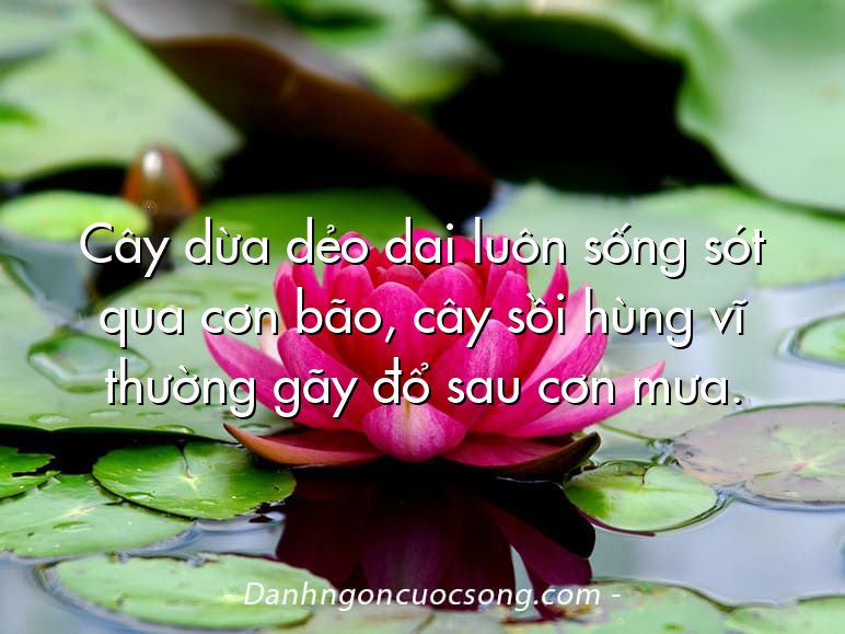 Cây dừa dẻo dai luôn sống sót qua cơn bão, cây sồi hùng vĩ thường gãy đổ sau cơn mưa.