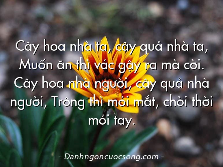 Cây hoa nhà ta, cây quả nhà ta, Muốn ăn thì vác gậy ra mà cời. Cây hoa nhà người, cây quả nhà người, Trông thì mỏi mắt, chòi thời mỏi tay.