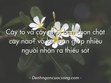 Cây to và cây nhỏ, bạn chọn chặt cây nào? và kết luận giúp nhiều người nhận ra thiếu sót
