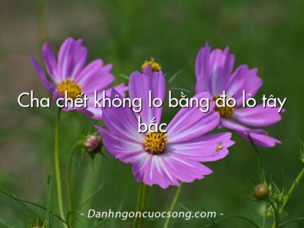 Cha chết không lo bằng đỏ lò tây bắc