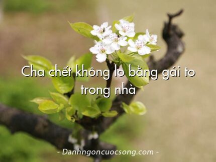 Cha chết không lo bằng gái to trong nhà