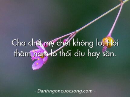 Cha chết mẹ chết không lo, Hỏi thăm nam lò thổi dịu hay săn.