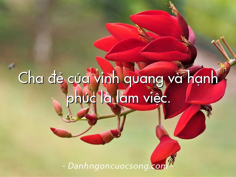 Cha đẻ của vinh quang và hạnh phúc là làm việc.