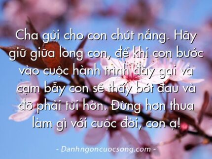 Cha gửi cho con chút nắng. Hãy giữ giữa lòng con, để khi con bước vào cuộc hành trình đầy gai và cạm bẫy con sẽ thấy bớt đau và đỡ phải tủi hờn. Đừng hơn thua làm gì với cuộc đời, con ạ!