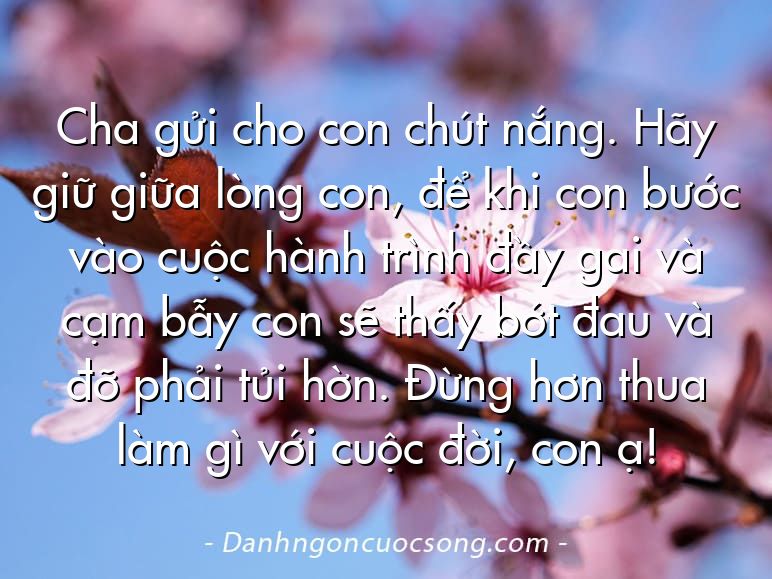 Cha gửi cho con chút nắng. Hãy giữ giữa lòng con, để khi con bước vào cuộc hành trình đầy gai và cạm bẫy con sẽ thấy bớt đau và đỡ phải tủi hờn. Đừng hơn thua làm gì với cuộc đời, con ạ!