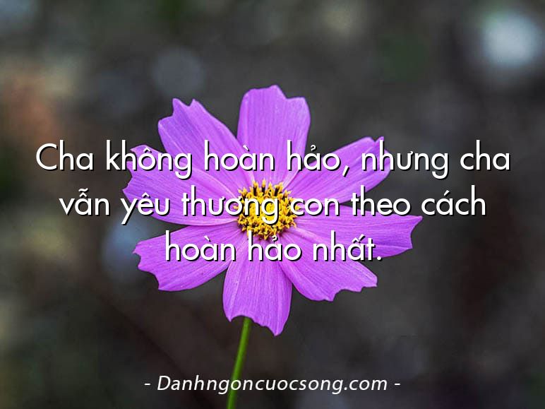 Cha không hoàn hảo, nhưng cha vẫn yêu thương con theo cách hoàn hảo nhất.
