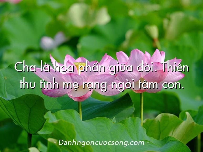 Cha là hoa phấn giữa đời. Thiên thu tình mẹ rạng ngời tâm con.