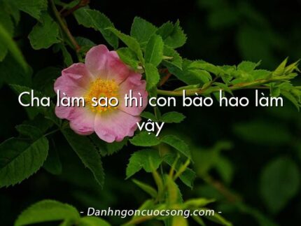 Cha làm sao thì con bào hao làm vậy