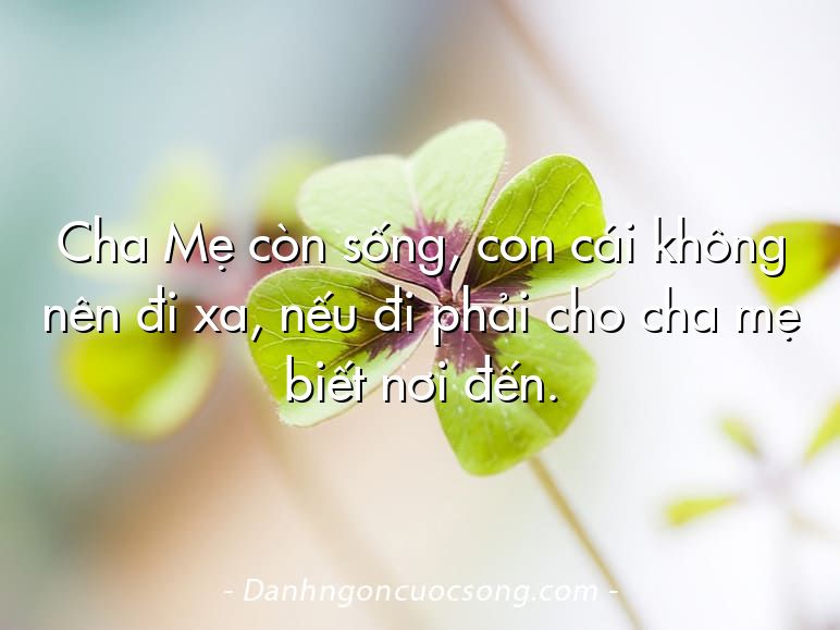 Cha Mẹ còn sống, con cái không nên đi xa, nếu đi phải cho cha mẹ biết nơi đến.