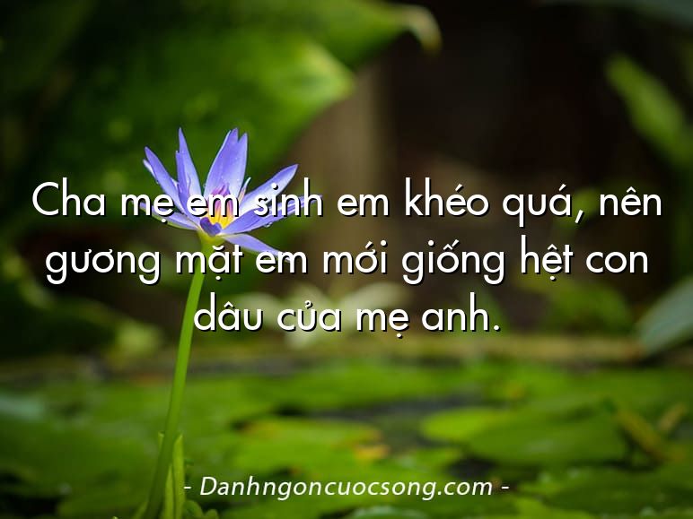 Cha mẹ em sinh em khéo quá, nên gương mặt em mới giống hệt con dâu của mẹ anh.