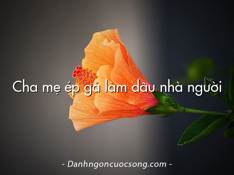 Cha mẹ ép gả làm dâu nhà người