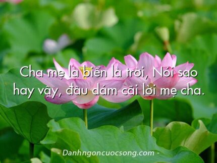 Cha mẹ là biển là trời, Nói sao hay vậy, đâu dám cãi lời mẹ cha.