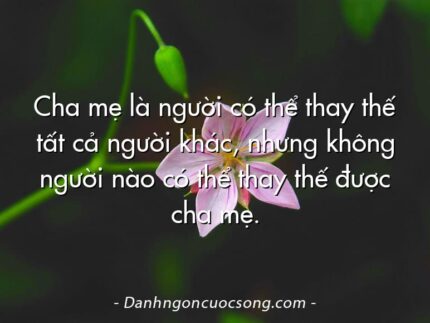 Cha mẹ là người có thể thay thế tất cả người khác, nhưng không người nào có thể thay thế được cha mẹ.