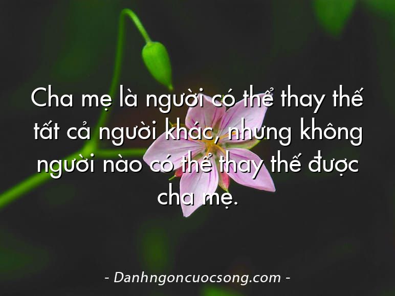 Cha mẹ là người có thể thay thế tất cả người khác, nhưng không người nào có thể thay thế được cha mẹ.