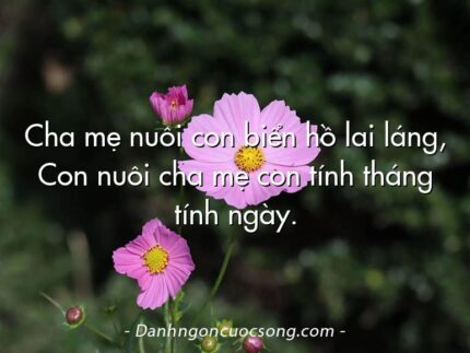 Cha mẹ nuôi con biển hồ lai láng, Con nuôi cha mẹ con tính tháng tính ngày.
