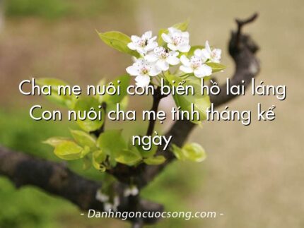 Cha mẹ nuôi con biển hồ lai láng Con nuôi cha mẹ tính tháng kể ngày