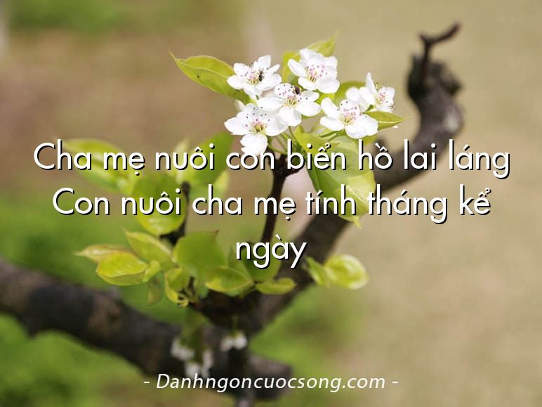 Cha mẹ nuôi con biển hồ lai láng Con nuôi cha mẹ tính tháng kể ngày
