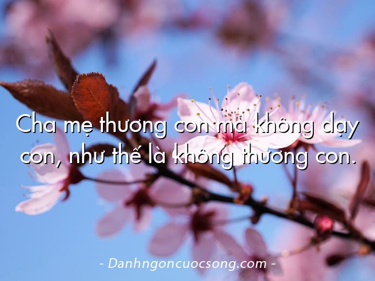 Cha mẹ thương con mà không dạy con, như thế là không thương con.