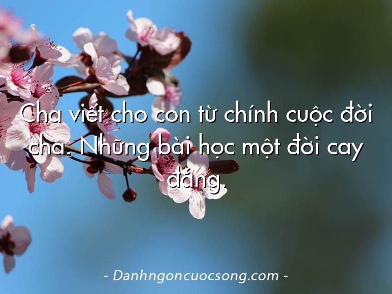 Cha viết cho con từ chính cuộc đời cha. Những bài học một đời cay đắng.