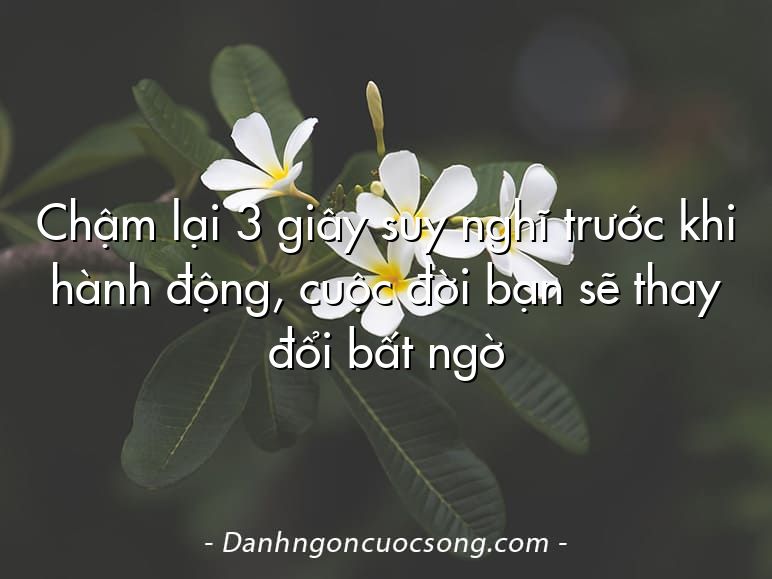 Chậm lại 3 giây suy nghĩ trước khi hành động, cuộc đời bạn sẽ thay đổi bất ngờ