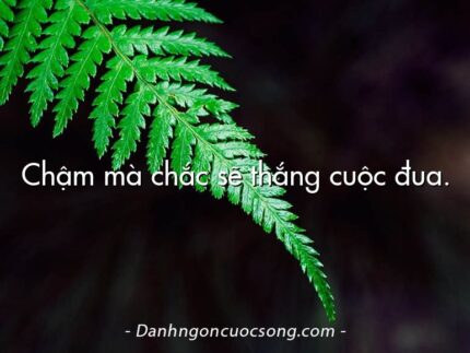 Chậm mà chắc sẽ thắng cuộc đua.