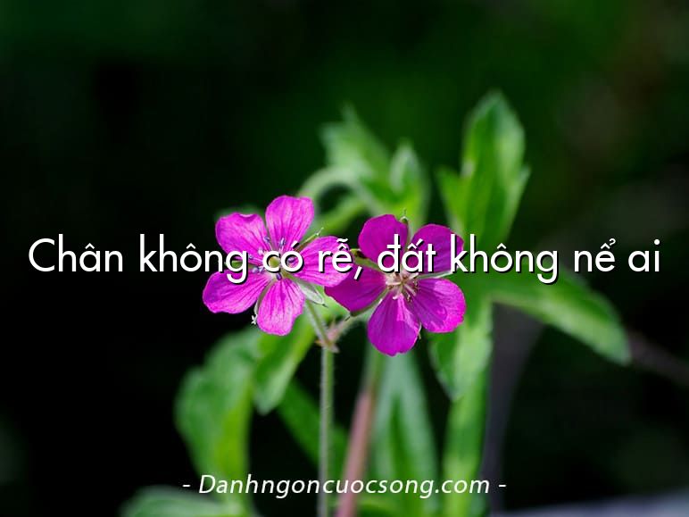 Chân không có rễ, đất không nể ai