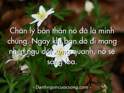 Chân lý bản thân nó đã là minh chứng. Ngay khi bạn dỡ đi mạng nhện ngu dốt xung quanh, nó sẽ sáng lòa.