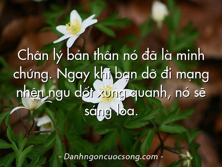 Chân lý bản thân nó đã là minh chứng. Ngay khi bạn dỡ đi mạng nhện ngu dốt xung quanh, nó sẽ sáng lòa.
