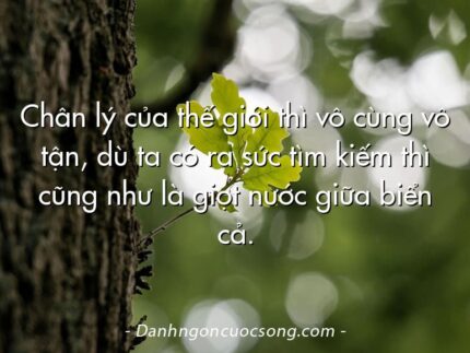 Chân lý của thế giới thì vô cùng vô tận, dù ta có ra sức tìm kiếm thì cũng như là giọt nước giữa biển cả.