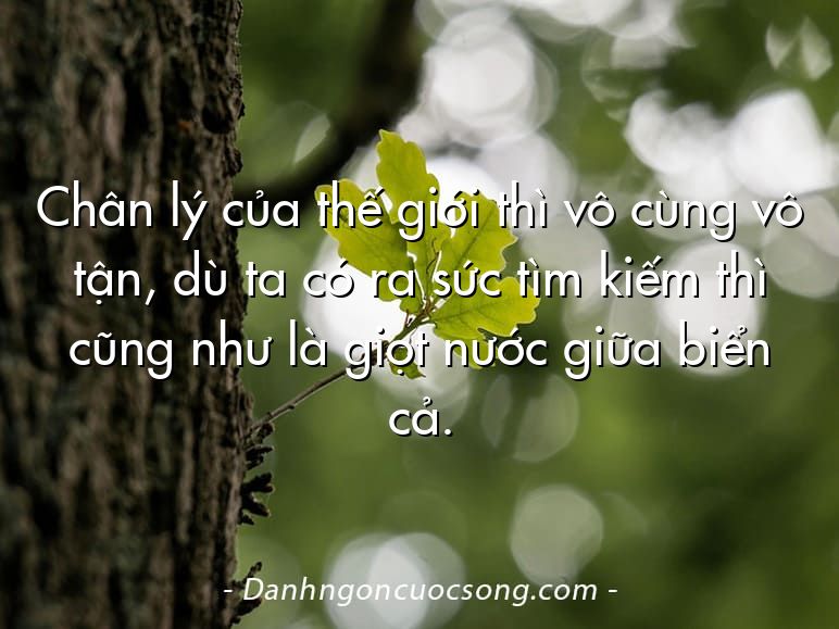 Chân lý của thế giới thì vô cùng vô tận, dù ta có ra sức tìm kiếm thì cũng như là giọt nước giữa biển cả.