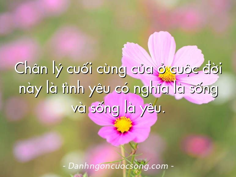 Chân lý cuối cùng của ở cuộc đời này là tình yêu có nghĩa là sống và sống là yêu.