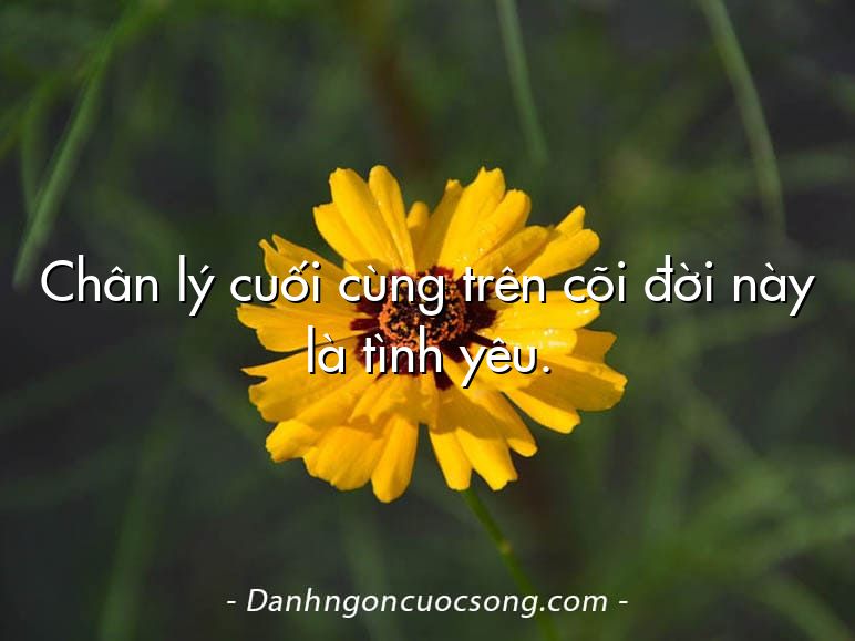 Chân lý cuối cùng trên cõi đời này là tình yêu.