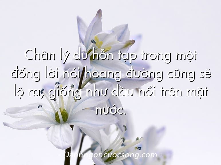 Chân lý dù hỗn tạp trong một đống lời nói hoang đường cũng sẽ lộ ra, giống như dầu nổi trên mặt nước.