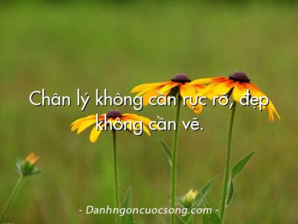 Chân lý không cần rực rỡ, đẹp không cần vẽ.