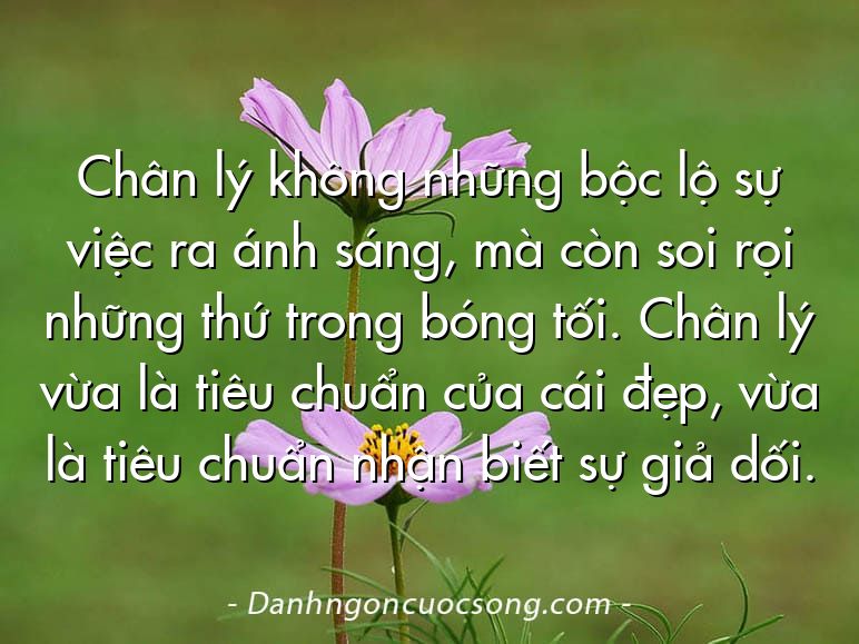 Chân lý không những bộc lộ sự việc ra ánh sáng, mà còn soi rọi những thứ trong bóng tối. Chân lý vừa là tiêu chuẩn của cái đẹp, vừa là tiêu chuẩn nhận biết sự giả dối.
