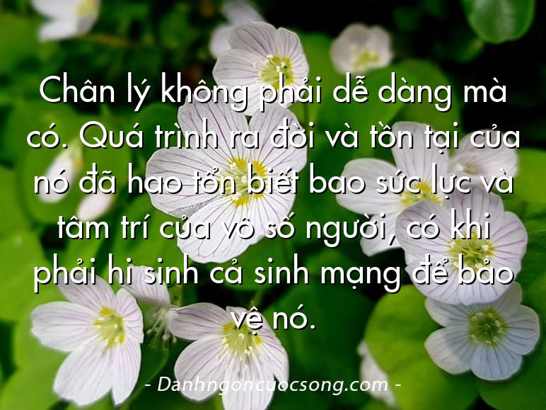 Chân lý không phải dễ dàng mà có. Quá trình ra đời và tồn tại của nó đã hao tổn biết bao sức lực và tâm trí của vô số người, có khi phải hi sinh cả sinh mạng để bảo vệ nó.